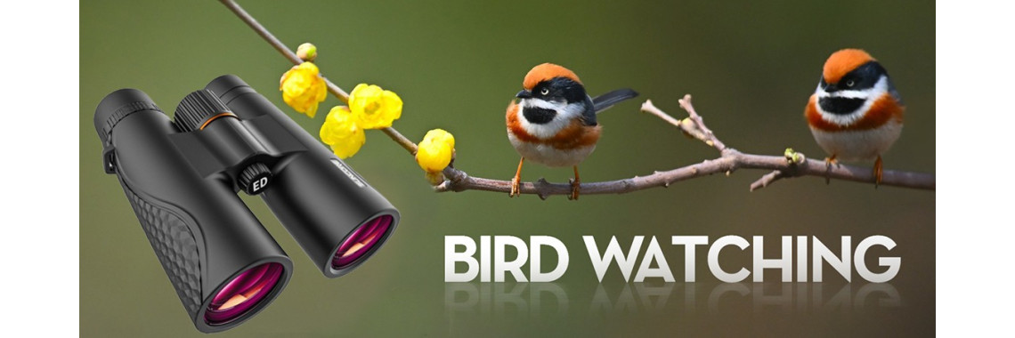Portable Binoculars for Bird Watching  Travel Sightseeing