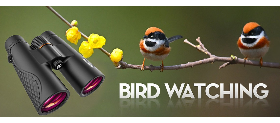 Portable Binoculars for Bird Watching Travel Sightseeing