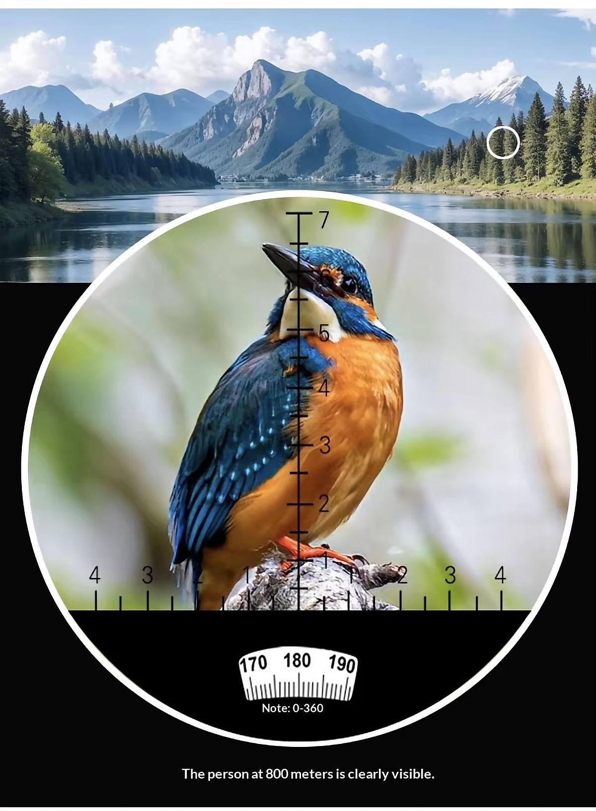 Binocular for bird observation inside woodland, portable optics for quiet wilderness viewing and avian wildlife recreational spotting
